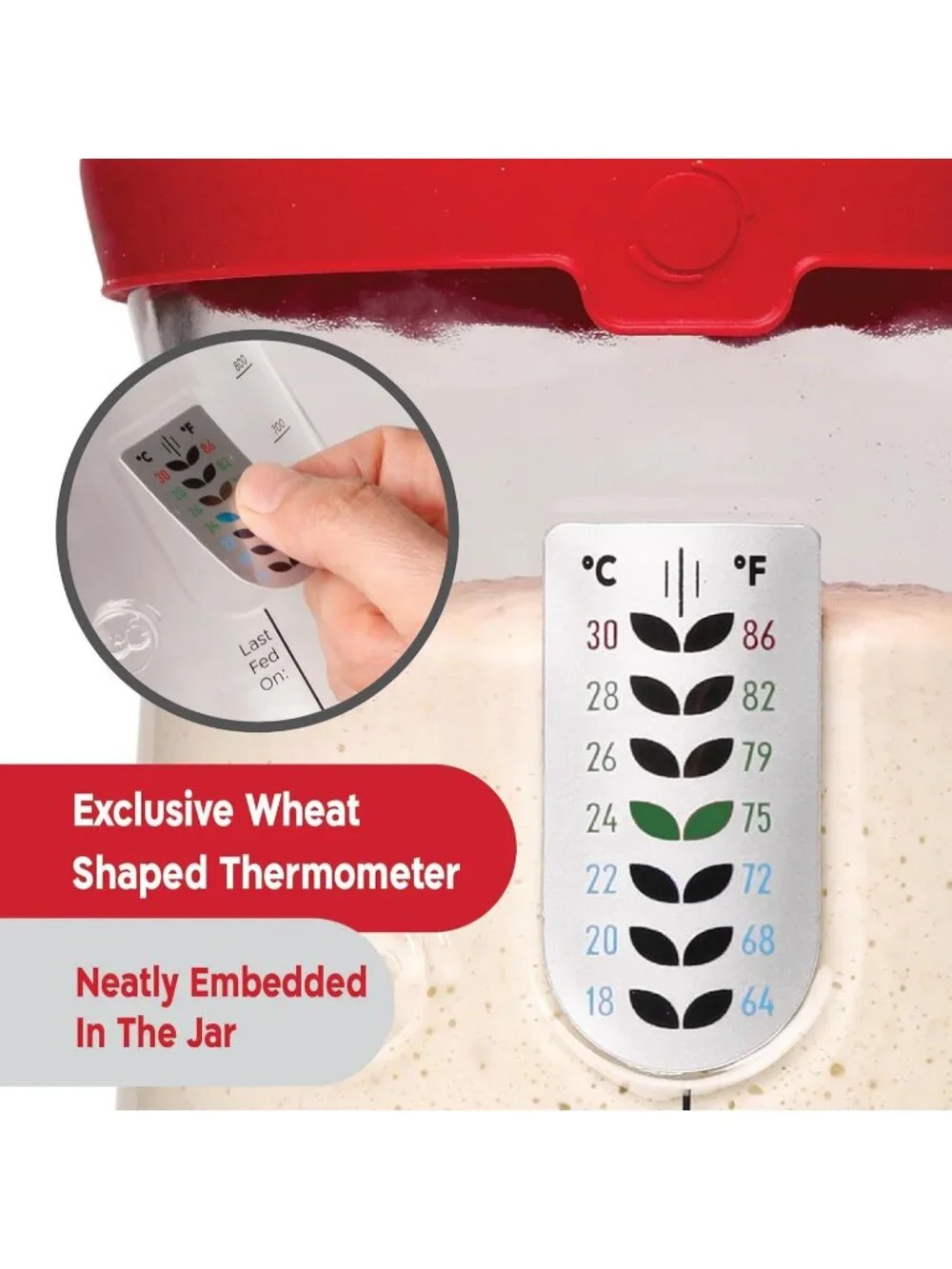 Kneadace Sourdough Starter Jar Set with Thermometer Band 2 Lids Scraper Spatula
